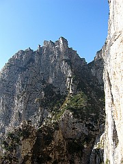IMG_1921