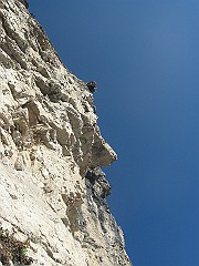 IMG_1936