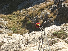IMG_1959
