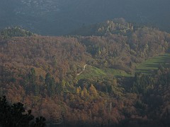 IMG_1964