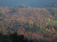 IMG_1965
