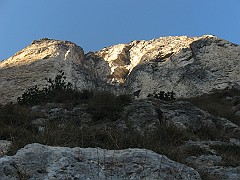 IMG_1967