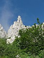 IMG_0969