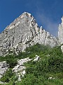 IMG_0970