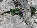 IMG_0973