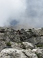 IMG_0976