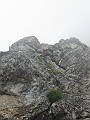 IMG_0978