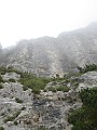 IMG_0979