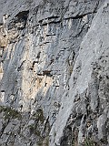 IMG_3888