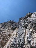 IMG_3903
