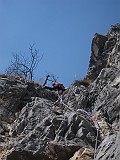 IMG_3905