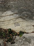 IMG_2241
