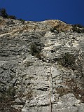 IMG_2245