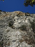 IMG_2247