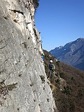 IMG_2252