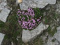 IMG_1069