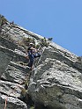 IMG_7520