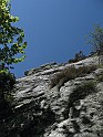 IMG_7529