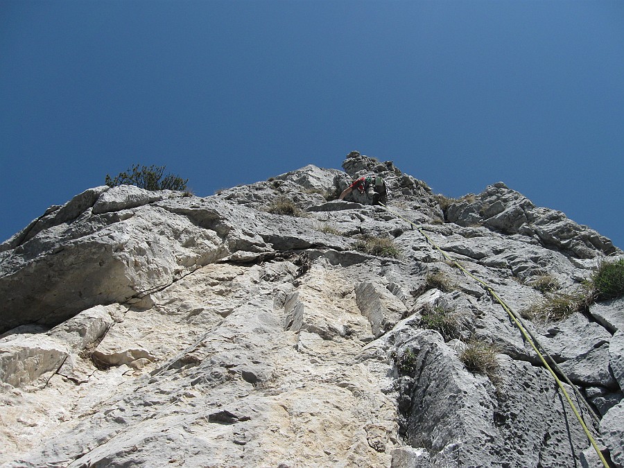 IMG_8006.JPG