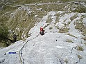 DSC07194