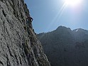 IMG_7986
