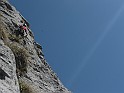 IMG_7998