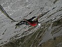IMG_8024