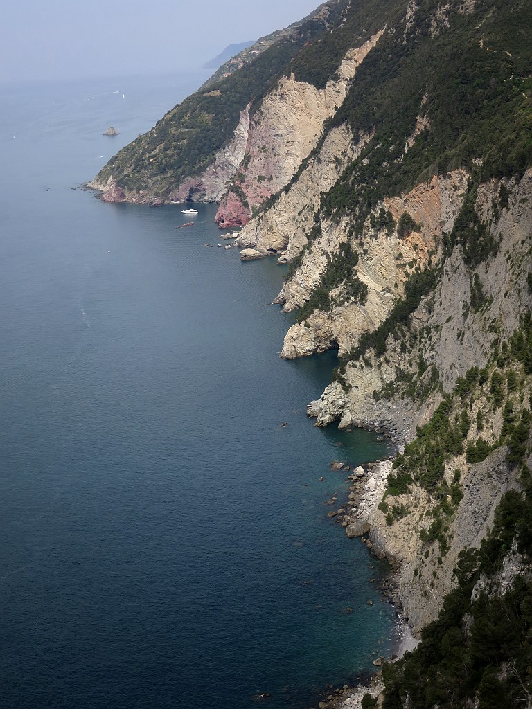 IMG_8524.JPG