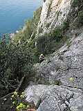IMG_8515