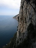 IMG_8517