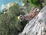 IMG_8528