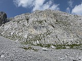 IMG_7636