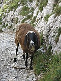 IMG_7640