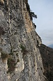 IMG_0821