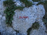 IMG_5154