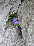 IMG_8653