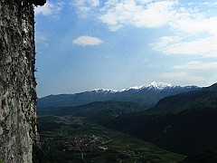 IMG2354