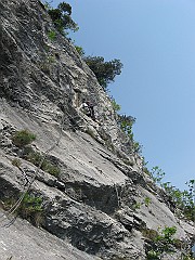 IMG2364