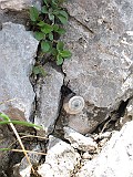 IMG_2725