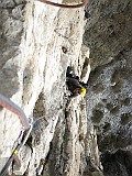 IMG_2363