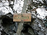 IMG_7901