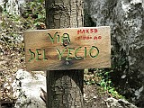 IMG_7919