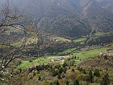 IMG_7921