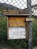 IMG_7931