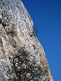 IMG_3735