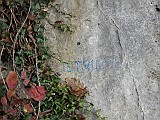 IMG_6310