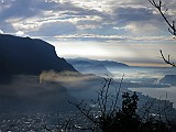 IMG_6311