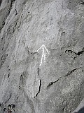 IMG_6316