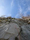IMG_6324