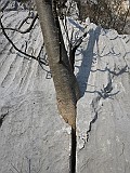 IMG_6332
